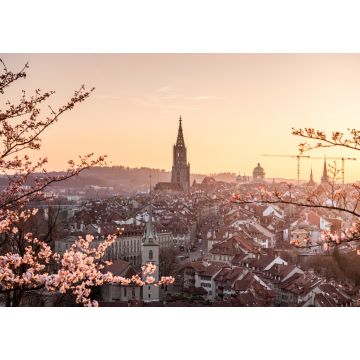 Lais Puzzle - Sonnenuntergang während Kirschblüte in Bern mit Berner Münster und Altstadt - 1.000 Teile