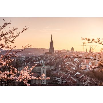Lais Puzzle - Sonnenuntergang während Kirschblüte in Bern mit Berner Münster und Altstadt - 2.000 Teile
