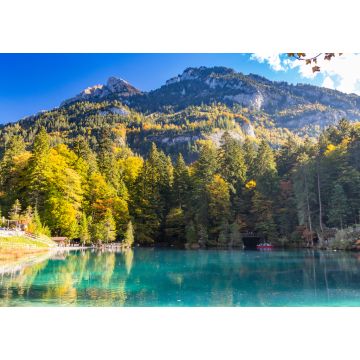 Lais Puzzle - Naturpark Blausee in Kandersteg, Schweiz, Herbstfärbung mit klarem Wasser - 1.000 Teile