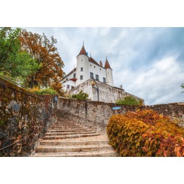 Lais Puzzle - Malerischer Blick auf das Schloss Nyon, Nyon, Waadt, Schweiz an einem bewölkten Herbsttag - 1.000 Teile