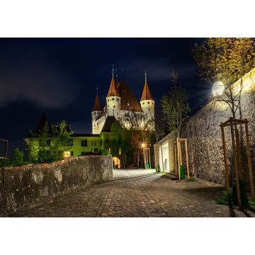 Lais Puzzle - Nächtliche Ansicht des Schlosses Thun in der Stadt Thun, Berner Oberland, Schweiz - 1.000 Teile
