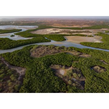 Lais Puzzle - Luftbild vom Somone Delta mit Mangroven und Wattbereichen im Senegal - 1.000 Teile