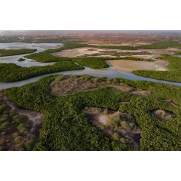 Lais Puzzle - Luftbild vom Somone Delta mit Mangroven und Wattbereichen im Senegal - 2.000 Teile