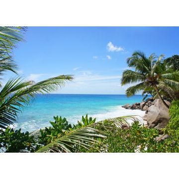 Lais Puzzle - Schöner Palmenstrand auf der tropischen Insel der Seychellen. Weißer Sandstrand mit Bäumen am Ufer des Indischen Ozeans. Paradiesischer, abgelegener Strand in der Sommersaison - 1.000 Teile