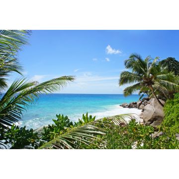 Lais Puzzle - Schöner Palmenstrand auf der tropischen Insel der Seychellen. Weißer Sandstrand mit Bäumen am Ufer des Indischen Ozeans. Paradiesischer, abgelegener Strand in der Sommersaison - 2.000 Teile