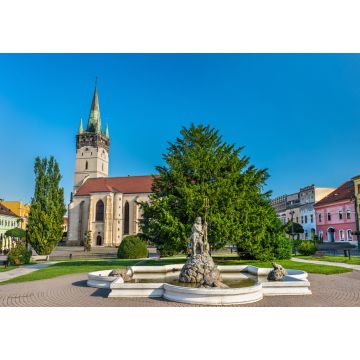 Lais Puzzle - Neptunbrunnen und Kathedrale des Heiligen Nikolaus in Presov, Slowakei - 1.000 Teile