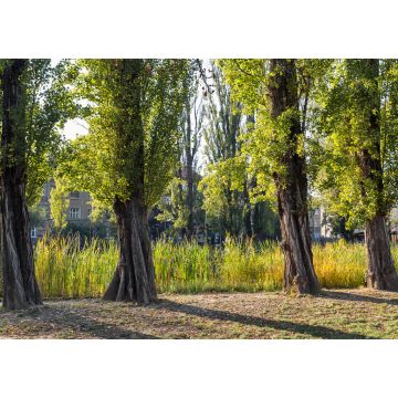 Lais Puzzle - Mestsky oder Stadtpark in der Altstadt von Kosice, Slowakei - 1.000 Teile
