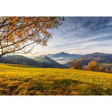 Lais Puzzle - Baum im Vordergrund einer Herbstlandschaft mit Bergen bei Sonnenaufgang. Mala-Fatra-Nationalpark, unweit des Dorfes Terchova in der Slowakei - 1.000 Teile