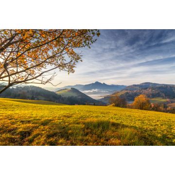 Lais Puzzle - Baum im Vordergrund einer Herbstlandschaft mit Bergen bei Sonnenaufgang. Mala-Fatra-Nationalpark, unweit des Dorfes Terchova in der Slowakei - 2.000 Teile