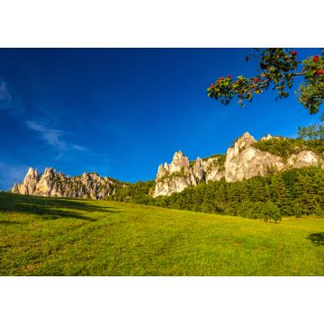 Lais Puzzle - Berglandschaft mit felsigen Gipfeln im Hintergrund im Sommer. Das Nationale Naturschutzgebiet Sulov Rocks, Slowakei, Europa - 1.000 Teile