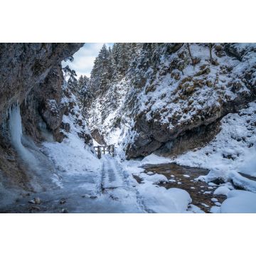Lais Puzzle - Verschneite Winterlandschaft mit einer Holzbrücke auf einem Wanderweg durch eine enge Schlucht mit Wildbach. Der Nationalpark Mala Fatra in der Slowakei - 2.000 Teile