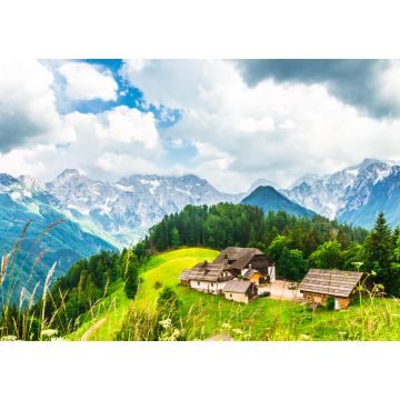 Lais Puzzle - Bauernhof in den slowenischen Alpen im Logar-Tal - 1.000 Teile