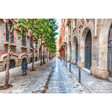 Lais Puzzle - Malerische Straße im Stadtteil La Ribera, Barcelona, Katalonien, Spanien - 2.000 Teile