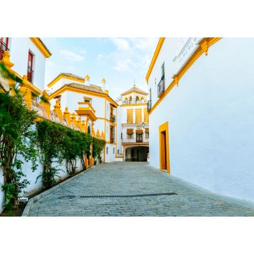 Lais Puzzle - Typische sevillanische Straße in der Nähe der Stierkampfarena von La Maestranza - 1.000 Teile