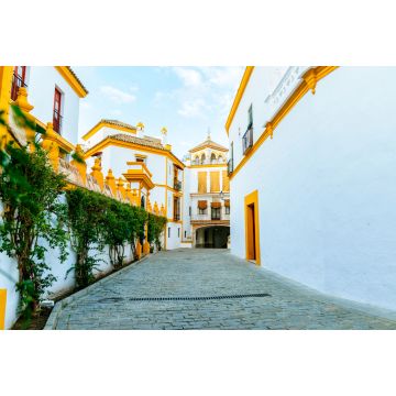 Lais Puzzle - Typische sevillanische Straße in der Nähe der Stierkampfarena von La Maestranza - 2.000 Teile
