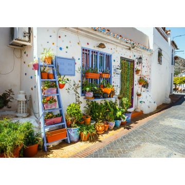 Lais Puzzle - verzierte Hausfassade mit Blumen in blauen Töpfen in Mijas, Spanien - 1.000 Teile