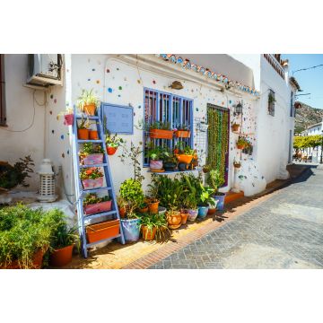 Lais Puzzle - verzierte Hausfassade mit Blumen in blauen Töpfen in Mijas, Spanien - 2.000 Teile