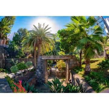 Lais Puzzle - Schöner tropischer Garten des Dorfes Garachico, historische Überreste der Puerta de Tierra auf Teneriffa - Kanarische Insel - 1.000 Teile