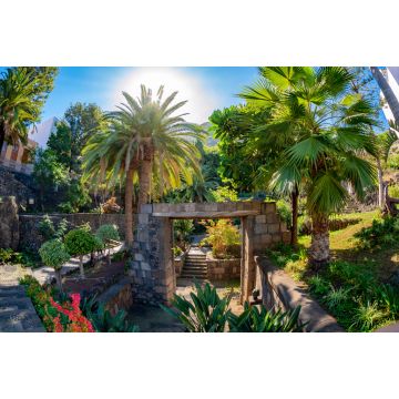 Lais Puzzle - Schöner tropischer Garten des Dorfes Garachico, historische Überreste der Puerta de Tierra auf Teneriffa - Kanarische Insel - 2.000 Teile