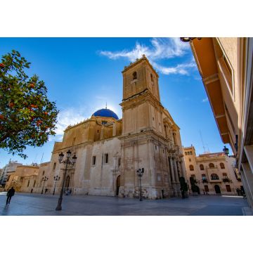 Lais Puzzle - Basilika von Santa Maria in Elche, Alicante, Spanien - 1.000 Teile
