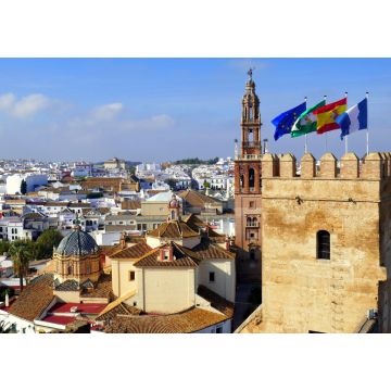 Lais Puzzle - Blick von der Festung in Carmona in Andalusien auf die malerische Stadt - 1.000 Teile