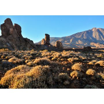 Lais Puzzle - Nationalpark El Teide auf Teneriffa - 1.000 Teile