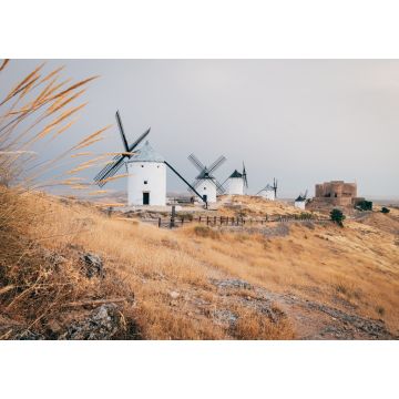 Lais Puzzle - Traditionelle spanische Windmühlen in Consuegra, Spanien - 1.000 Teile