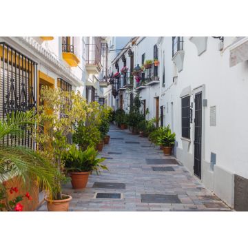 Lais Puzzle - Typische enge Straße mit Blumentopf in Marbella, Costa del Sol, Provinz Malaga. Leere andalusische Straße - 1.000 Teile