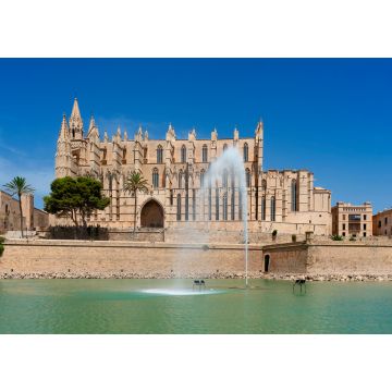 Lais Puzzle - Blick auf die Kathedrale von Palma de Mallorca - 1.000 Teile