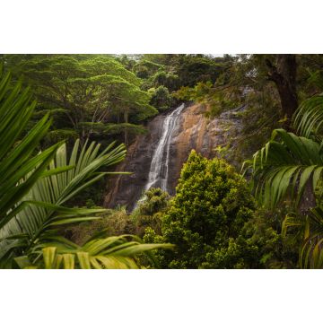 Lais Puzzle - Ein wunderschöner Ort im Paradies. Grüne Bäume und Pflanzen in der Berglandschaft von Sri Lanka - 2.000 Teile