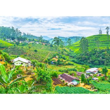 Lais Puzzle - Das Farmland in den srilankischen Bergen in Pusselawa - 1.000 Teile