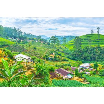 Lais Puzzle - Das Farmland in den srilankischen Bergen in Pusselawa - 2.000 Teile