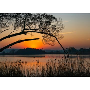 Lais Puzzle - Sonnenaufgang über dem Rietvlei-Damm außerhalb von Pretoria, Südafrika - 1.000 Teile