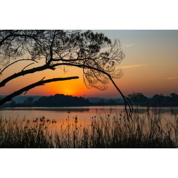 Lais Puzzle - Sonnenaufgang über dem Rietvlei-Damm außerhalb von Pretoria, Südafrika - 2.000 Teile