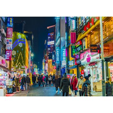 Lais Puzzle - Neonlichter in der Nacht in der Stadt Seoul in Südkorea - 1.000 Teile
