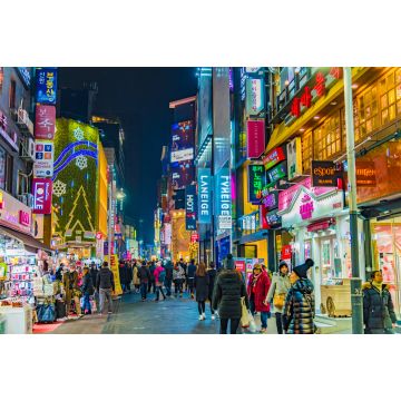 Lais Puzzle - Neonlichter in der Nacht in der Stadt Seoul in Südkorea - 2.000 Teile