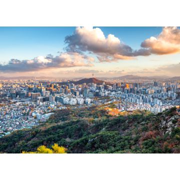 Lais Puzzle - Blick auf die Stadt Seoul im Herbst in Südkorea - 1.000 Teile