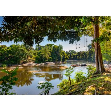 Lais Puzzle - Blick auf den Suriname-Fluss in Obersuriname, Dschungelcamp Awarradam - 1.000 Teile