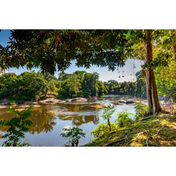 Lais Puzzle - Blick auf den Suriname-Fluss in Obersuriname, Dschungelcamp Awarradam - 2.000 Teile