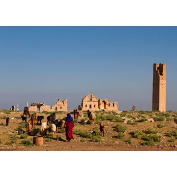 Lais Puzzle - Ruinen der antiken Stadt Harran in Obermesopotamien, nahe der Provinz Sanliurfa in der Türkei - 1.000 Teile