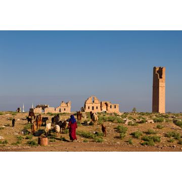 Lais Puzzle - Ruinen der antiken Stadt Harran in Obermesopotamien, nahe der Provinz Sanliurfa in der Türkei - 2.000 Teile