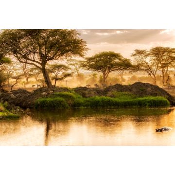 Lais Puzzle - Sonnenuntergang über dem Fluss in der Serengeti, Tansania - 2.000 Teile