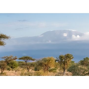 Lais Puzzle - Blick auf den Kilimandjaro in Tansania, mit der Savanne, schönes Panorama - 1.000 Teile