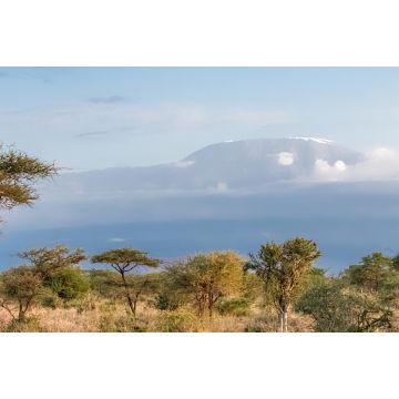 Lais Puzzle - Blick auf den Kilimandjaro in Tansania, mit der Savanne, schönes Panorama - 2.000 Teile