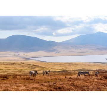 Lais Puzzle - Pirschfahrt mit Safari-Auto im Serengeti-Nationalpark in schöner Landschaftskulisse, Tansania, Afrika - 1.000 Teile