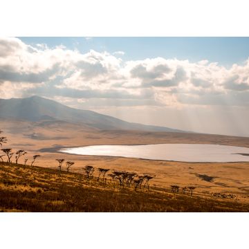Lais Puzzle - Pirschfahrt mit Safari-Auto im Serengeti-Nationalpark in schöner Landschaftskulisse, Tansania, Afrika - 1.000 Teile