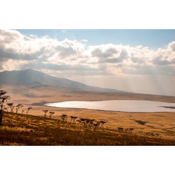 Lais Puzzle - Pirschfahrt mit Safari-Auto im Serengeti-Nationalpark in schöner Landschaftskulisse, Tansania, Afrika - 2.000 Teile