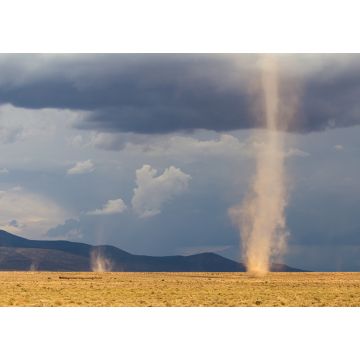Lais Puzzle - Kleine Tornados in den Ebenen von Nordtansania - 1.000 Teile