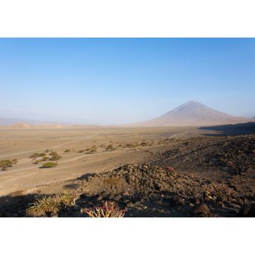 Lais Puzzle - Landschaft im Natronseegebiet, Tansania, Afrika. Ol Doinyo Lengai-Vulkan - 1.000 Teile