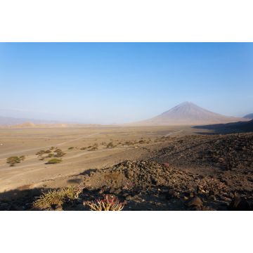 Lais Puzzle - Landschaft im Natronseegebiet, Tansania, Afrika. Ol Doinyo Lengai-Vulkan - 2.000 Teile